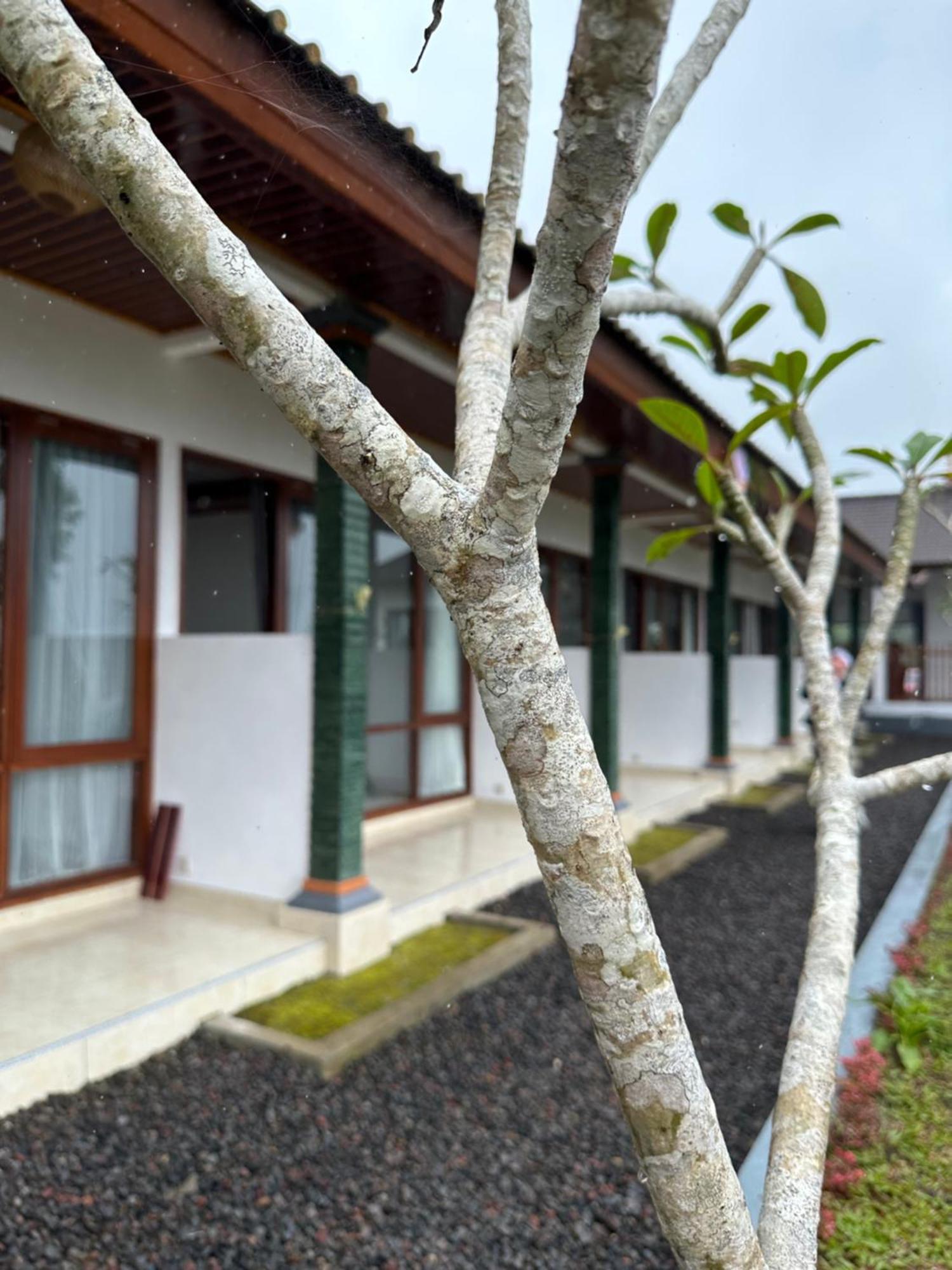 Bali Basuki Retreat Center Apartment Besakih Exterior photo